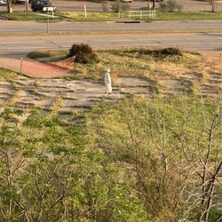 La Quinta by Wyndham DFW Airport West - Euless - view from the room w/random man who meandered in the field full of old car tires and weeds for 30 min.
