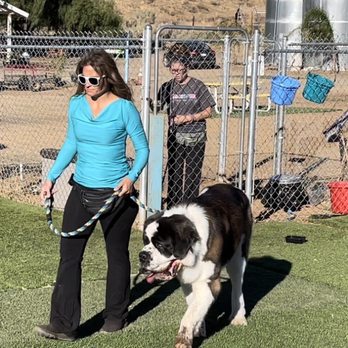 Sunny Day Acres - The big intro! - Pet Training Near Me - Agua Dulce, California Sunny Day Acres - The big intro! - Pet Training Near Me - Agua Dulce, California