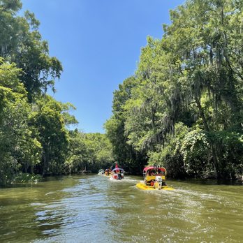 CatBoat Adventure Tours - Mount Dora Canal - Boat Tours Near Me - Mount Dora, Florida CatBoat Adventure Tours - Mount Dora Canal - Boat Tours Near Me - Mount Dora, Florida