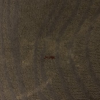 Quality Inn Fallbrook I-15 - Blood on floor - Hotels Near Me - Fallbrook, California Quality Inn Fallbrook I-15 - Blood on floor - Hotels Near Me - Fallbrook, California