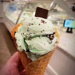 Coppa Gelato - Andes mint...absolutely delicious!