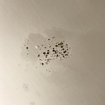 大澳文物酒店 - Some of the mold on the ceiling of our room. - Hotels Near Me - Hong Kong, HK