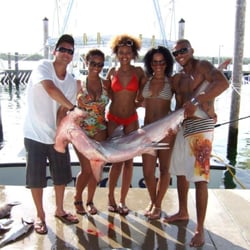 Miami Yacht Charter - Hammerhead Shark - caught on the Outcast Charter Fishing, Miami Beach, FL
