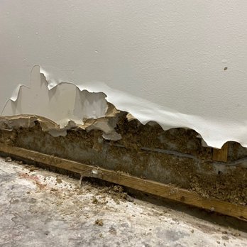Restore All - Molding area - Damage Restoration Near Me - Miramar, Florida Restore All - Molding area - Damage Restoration Near Me - Miramar, Florida