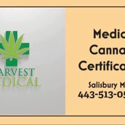 Revision Wellness - Business Card