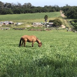 Ocean Breeze Equestrian Center