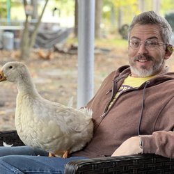 Tractor Supply - Here's one of our ducks! His feathers were still coming in.
