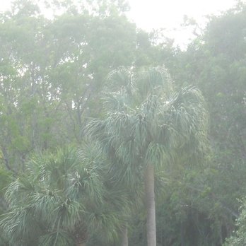 Mizner Park - Pretty. - Shopping Centers Near Me - Boca Raton, Florida