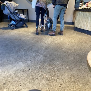 Starbucks - dogs in cafe - Coffee & Tea Near Me - Brooklyn, New York Starbucks - dogs in cafe - Coffee & Tea Near Me - Brooklyn, New York