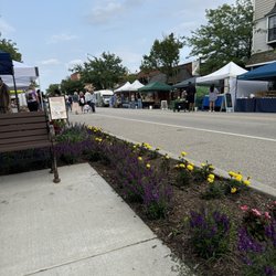 Grayslake Farmers Market - Beautiful day for a market. Unusually slow at the moment.