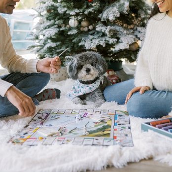 Eden K Photography - Rochelle captured our little fur baby so well! - Event Photography Near Me Eden K Photography - Rochelle captured our little fur baby so well! - Event Photography Near Me