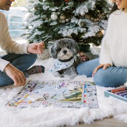 Eden K Photography - Rochelle captured our little fur baby so well!