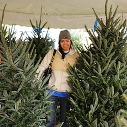 Solvang Christmas Trees - Please tell your neighbors where to find us :)