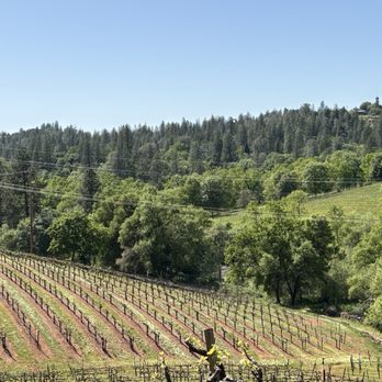 Boeger Winery - Wineries Near Me - Placerville, California