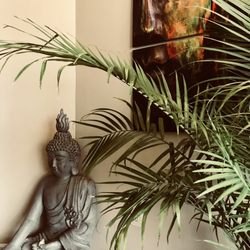 Sunshine Yoga - Our organic decor.