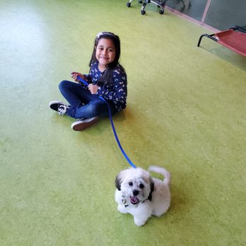 Zen Animals - Loki and His Best Friend after his grooming session! - Pet Groomers Near Me - Brooklyn, New York Zen Animals - Loki and His Best Friend after his grooming session! - Pet Groomers Near Me - Brooklyn, New York