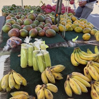 Honolulu Farmers' Market - Farmers Market Near Me - Honolulu, Hawaii