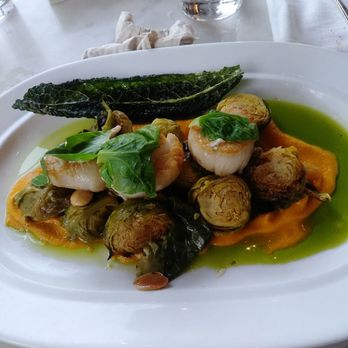 On Swann - Scallops - Bars Near Me - Tampa, Florida