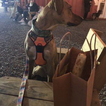 Crate and Marrow - Crate and Marrow at Pro Re Nata - Pet Stores Near Me - Charlottesville, Virginia