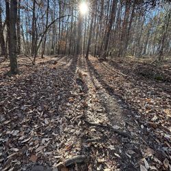Falls Lake Dam - Trail hike on Xmas Eve eve.