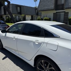 The Tint Monkey