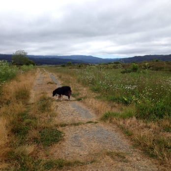 Fay Slough Wildlife Area - Parks Near Me - Eureka, California Fay Slough Wildlife Area - Parks Near Me - Eureka, California