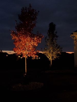 Kanazeh Lawn Service