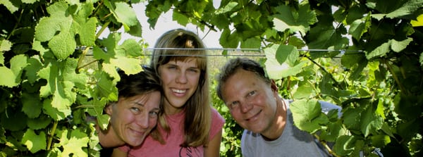 Laurentide Winery by null