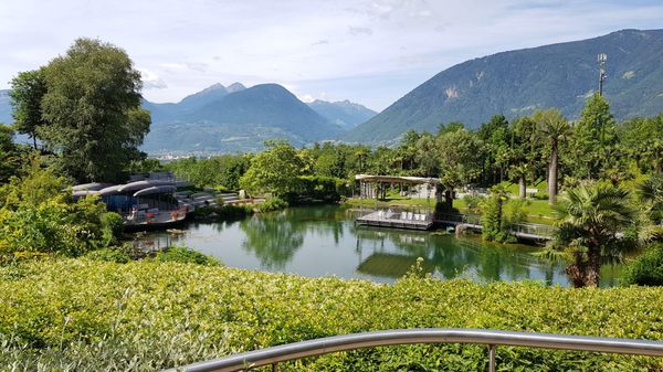 Trauttmansdorff Gärten by null