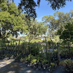 Citrus Park Landscape Nursery