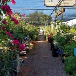 Desert Bloom Garden Center