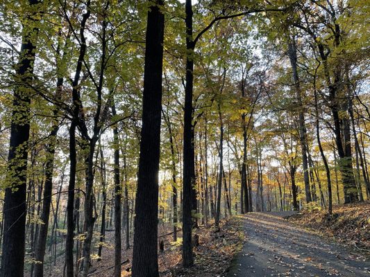 Warner Parks by null