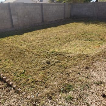 Exclusive Deals - Backyard after weed restoration - Tree Services Near Me - Mesa, Arizona Exclusive Deals - Backyard after weed restoration - Tree Services Near Me - Mesa, Arizona