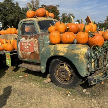Alstede Farms - Cute photo op! - Fruits & Veggies Near Me - Chester, New Jersey