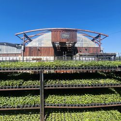 Ruibal's Plants of Texas - Entrance