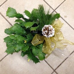 christmas cactus