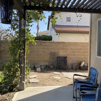 Premium Tree Care - Side yard after - Tree Services Near Me