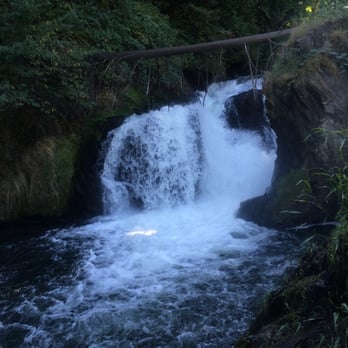Olympia Tumwater Foundation - Parks Near Me - Tumwater, Washington Olympia Tumwater Foundation - Parks Near Me - Tumwater, Washington