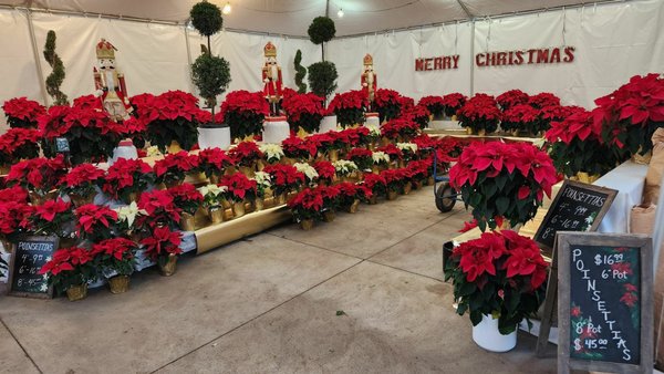 Whitfill Nursery by null