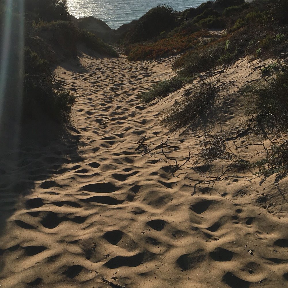 Point Dume Natural Preserve - Hiking Near Me - Malibu, California Point Dume Natural Preserve - Hiking Near Me - Malibu, California