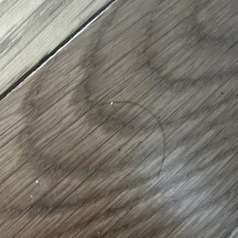 AG Floors - Hair - Flooring Near Me - Rockville, Maryland AG Floors - Hair - Flooring Near Me - Rockville, Maryland
