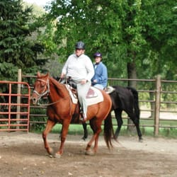 Breezy Bluff Riding Academy - We also have lots of adults up to age 70! We have the horse that fits your needs in our herd of 20 animals