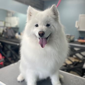 Pet Supplies Plus Ames - Pet Groomers Near Me - Ames, Iowa Pet Supplies Plus Ames - Pet Groomers Near Me - Ames, Iowa