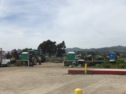 Harry's Berries by null