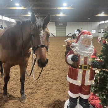 Avon Valley Show Stables - Horseback Riding Near Me - Avon, Connecticut