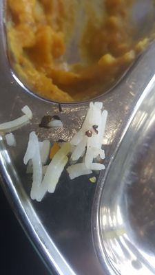 Delhi Darbar by null