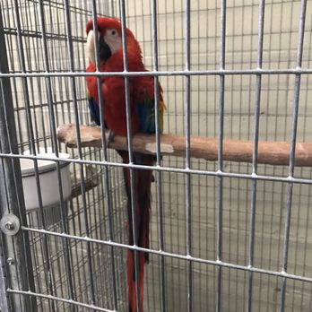 Birds Plus - Bird Shops Near Me - Valley Glen, California Birds Plus - Bird Shops Near Me - Valley Glen, California
