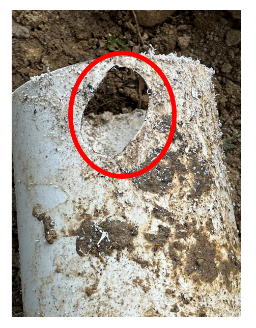 Slide of Tenline Services