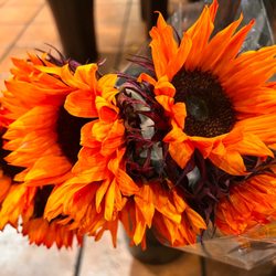 The Fresh Market - 10/30/22