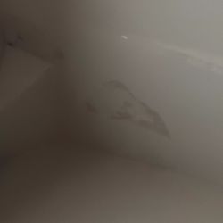 Ellenborough Park - Mold stains